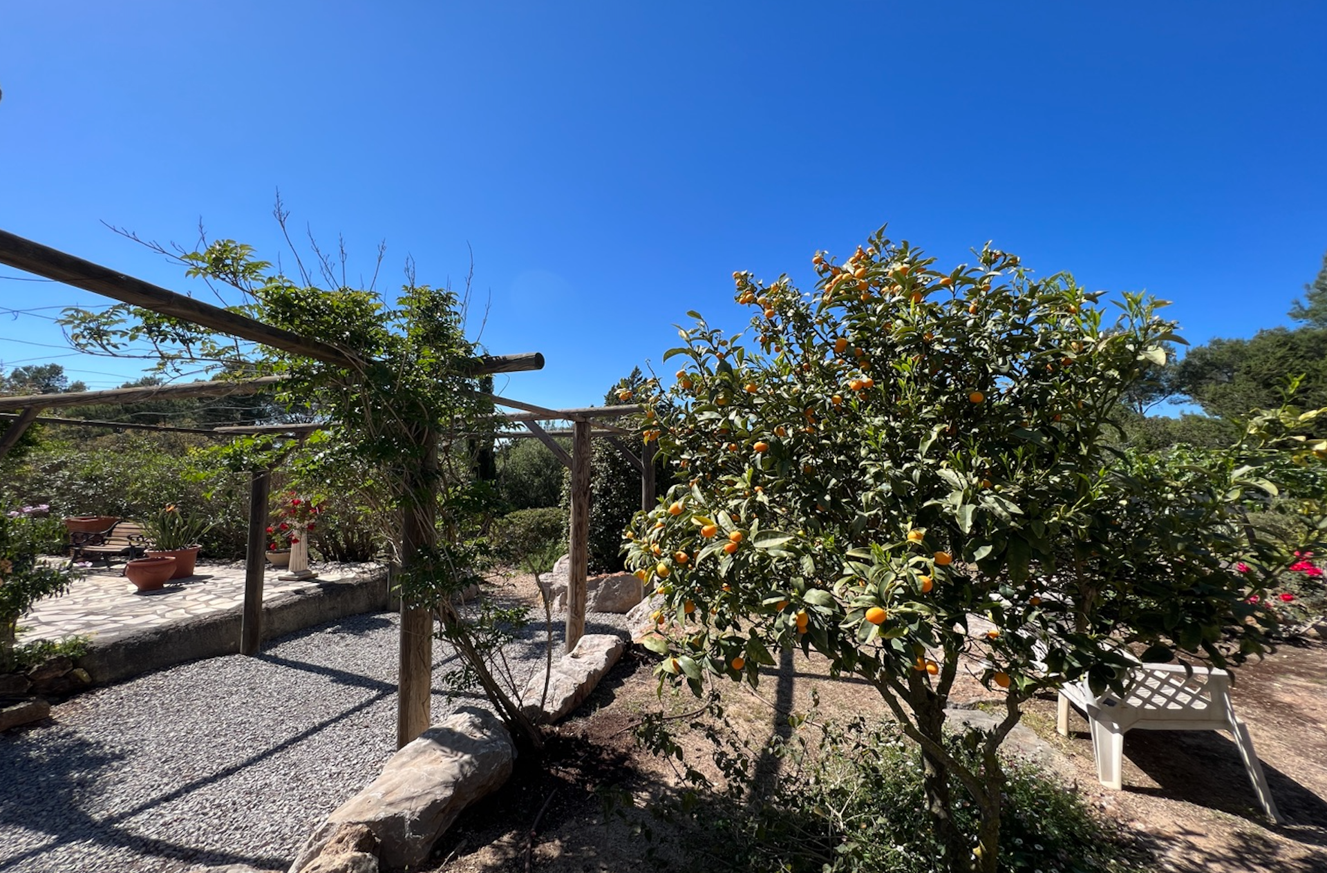 resa estates villa for sale ibiza tourist license garden.jpg